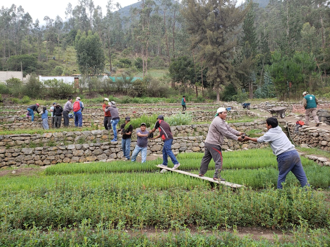 Taller de Capacitación en Técnicas de Riego Eficiente