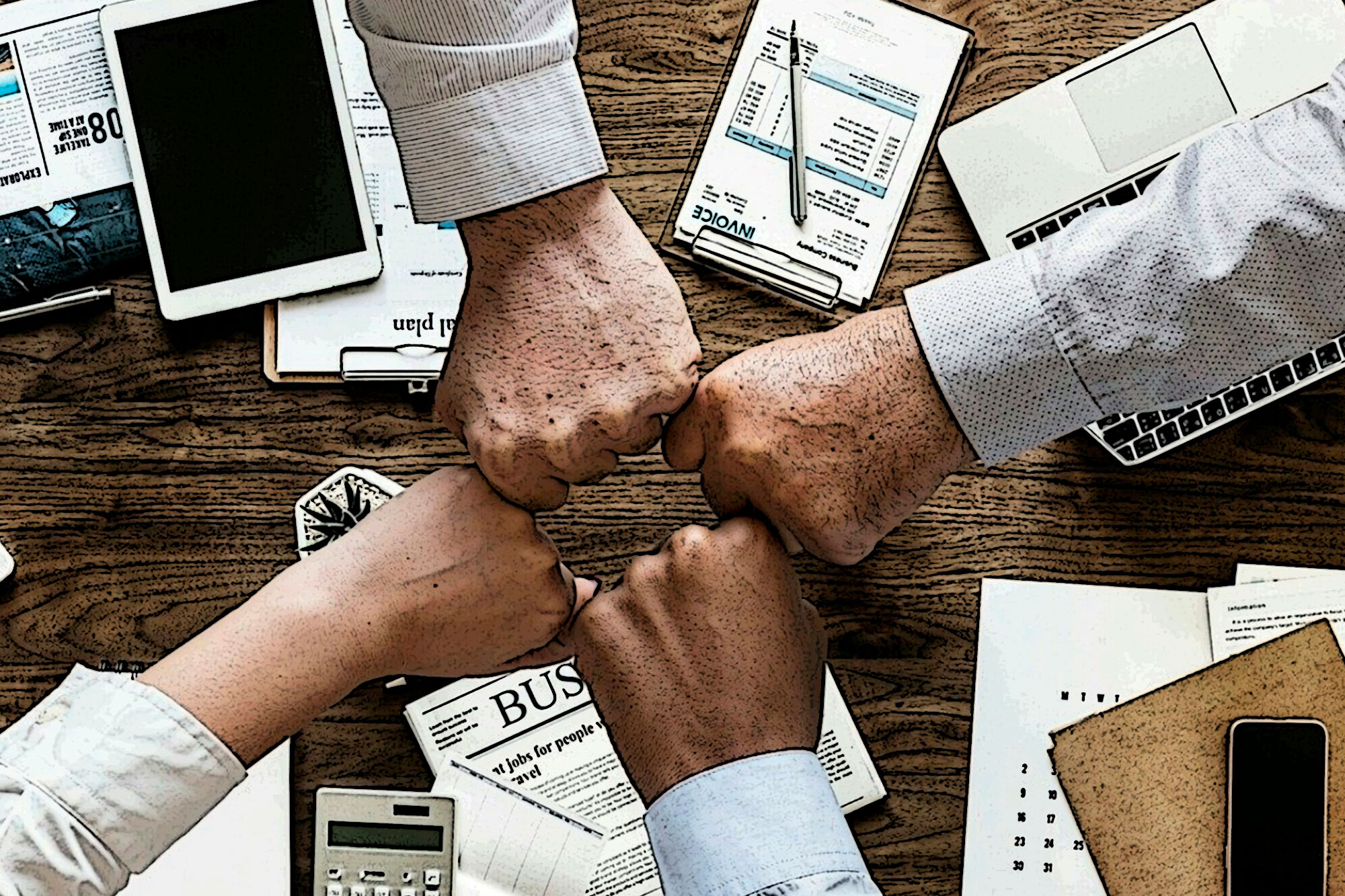 Establecer alianzas estratégicas con organismos públicos y privados